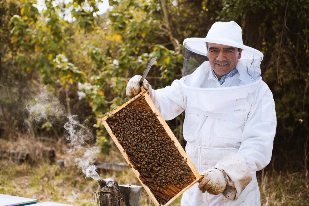 Imker Bernadino in een wit imkerpak met een honingraat in zijn handen