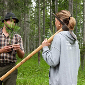 Bomen planten in Duitsland